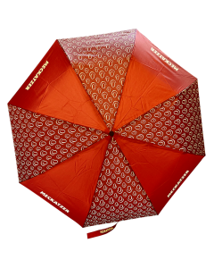 Regenschirm